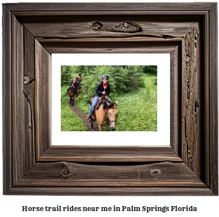 horse trail rides near me in Palm Springs, Florida